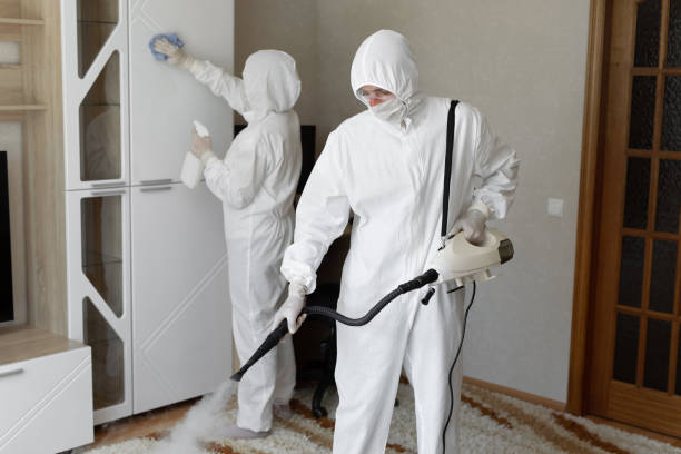 Woodland Park, CO Mold Removal Company