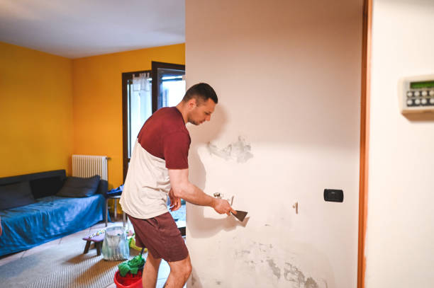 Mold Testing and Removal in Woodland Park, CO