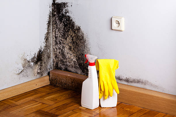 Water Damage Restoration in Woodland Park, CO